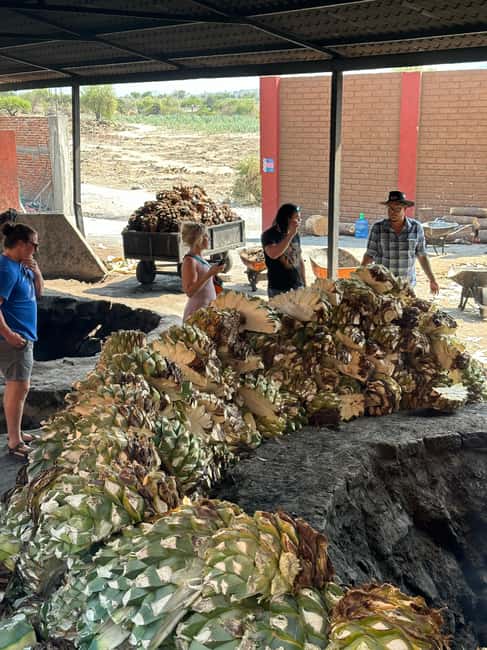Oaxaca: Hierve el Agua & Mezcal Distillery Small-Group Tour - Take the Hierve el Agua walk seriously