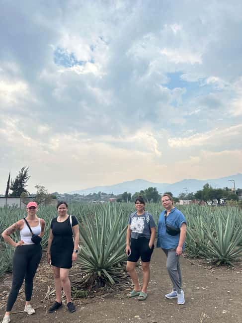 Oaxaca: Hierve el Agua & Mezcal Distillery Small-Group Tour - Meeting at the Jardín Etnobotánico