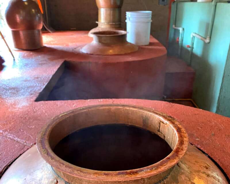 Oaxaca: Mezcal Adventure - Who should book this Oaxaca mezcal day?
