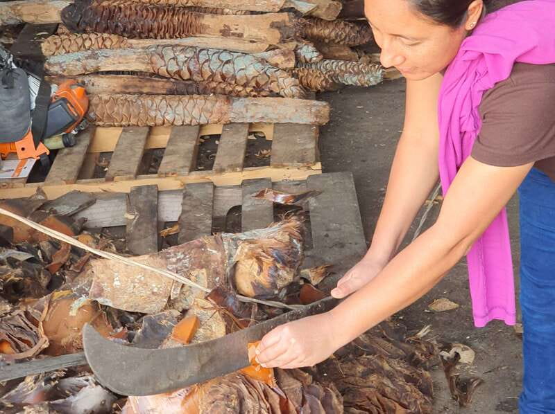 Oaxaca: Mezcal Adventure - What the tasting teaches you