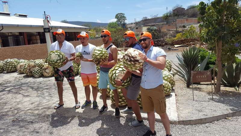 Oaxaca: Mezcal Adventure - Reading the agave fields near Matatlán