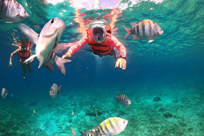 Official Chankanaab Park Day pass and Snorkel with Lunch included - What the park adds beyond snorkeling