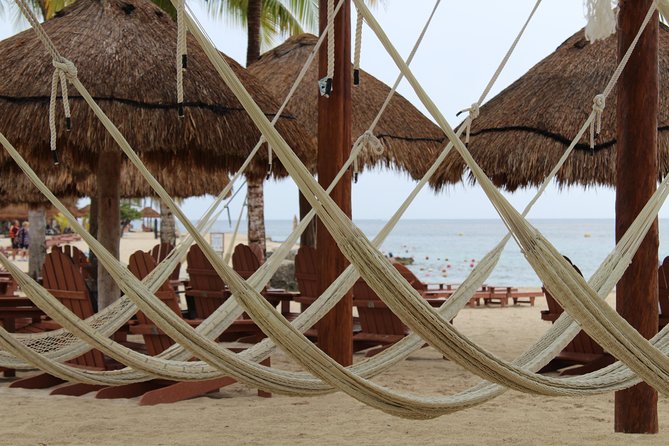 Official Chankanaab Park Day pass and Snorkel with Lunch included - Who will enjoy this experience most