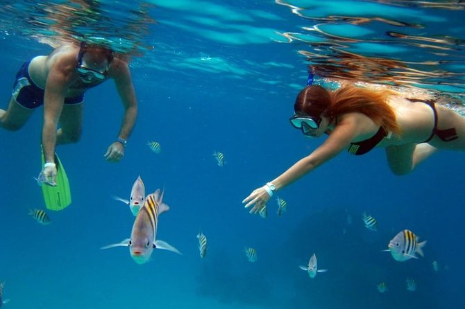 Official Chankanaab Park Day pass and Snorkel with Lunch included - The beach is comfortable, but do not expect soft sand