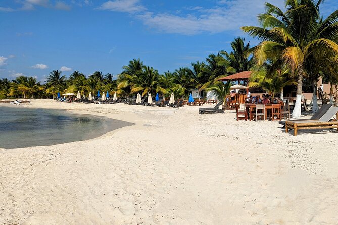 Open Top City Tour & Beach Break - San Miguel and the half-hour city walk
