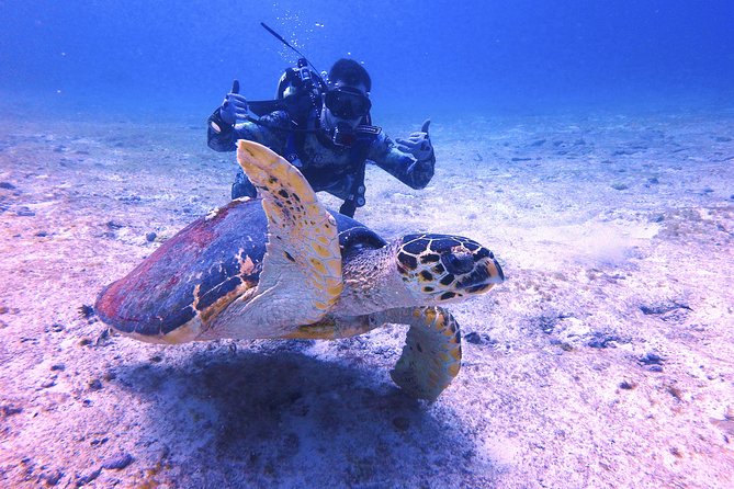 Open Water Certification Course-PADI - Who will get the most from this course