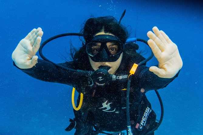 Open Water Course Cozumel - Who should book this course?