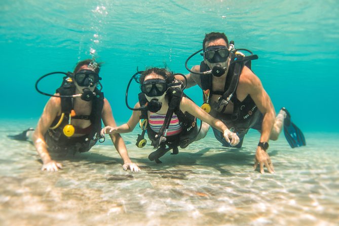 Open Water Course Cozumel - Practical details before you reserve