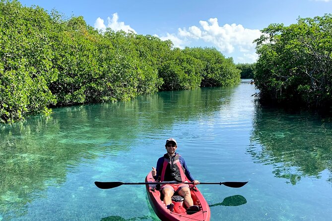 Paddleboard Kayak Tour in Cancun - What the two-hour schedule feels like