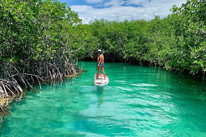 Paddleboard Kayak Tour in Cancun - Meeting at SCUBA CANCUN