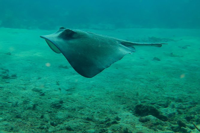 PADI Discover Scuba Diving - Why the Staff Matter So Much for Beginners