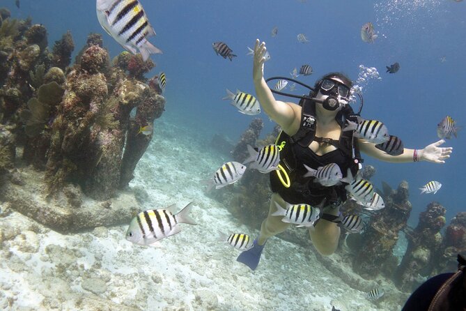 PADI Discover Scuba Diving for divers without certification - Manchones Reef and the second underwater session
