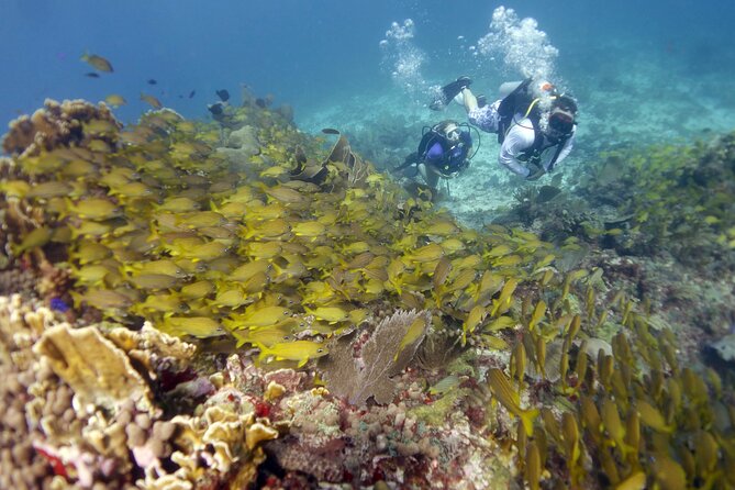 PADI Discover Scuba Diving for divers without certification - Who should book this first scuba experience