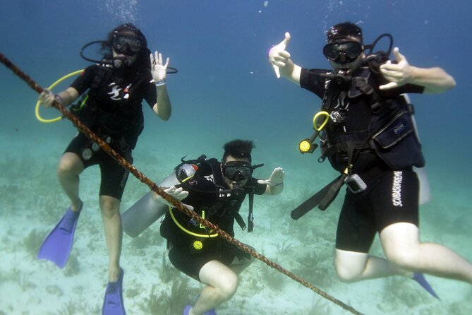 PADI Discover Scuba Diving for divers without certification - Learning the basics before entering the water