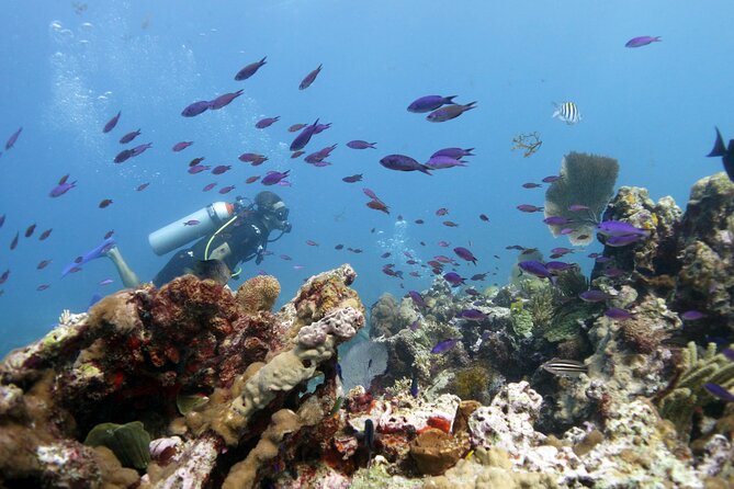 PADI Open Water Diver Course - A two-day schedule that demands your attention