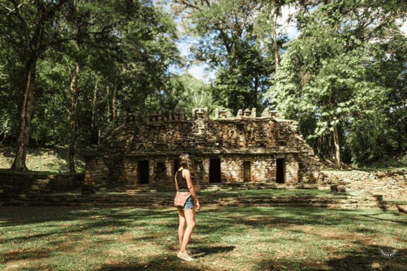 Palenque: Yaxchilán and Bonampak Archaeological Area Tour - Key points to know before booking