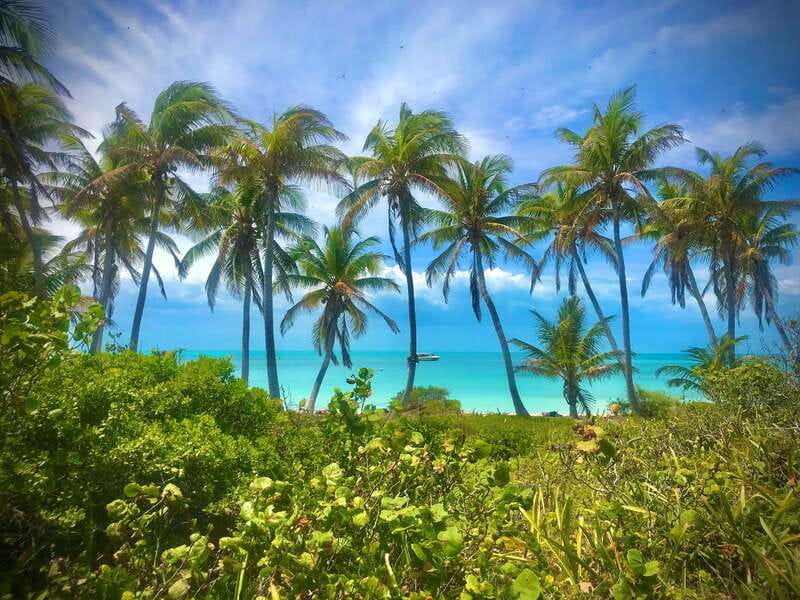 PARADISE ISLAND- ISLA CONTOY AND ISLA MUJERES - The Morning Start at Flamingos Pier