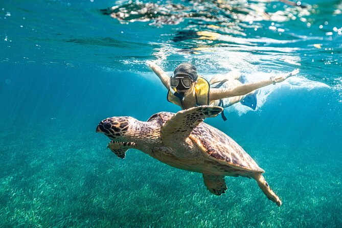 Parasailingcancun and Jet Ski tour over Cancun Bay - The snorkeling description needs clarification
