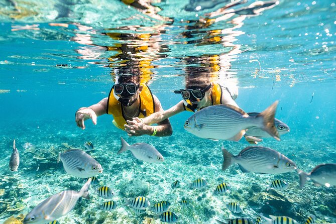 Parasailingcancun and Jet Ski tour over Cancun Bay - Who should book this Cancun activity?