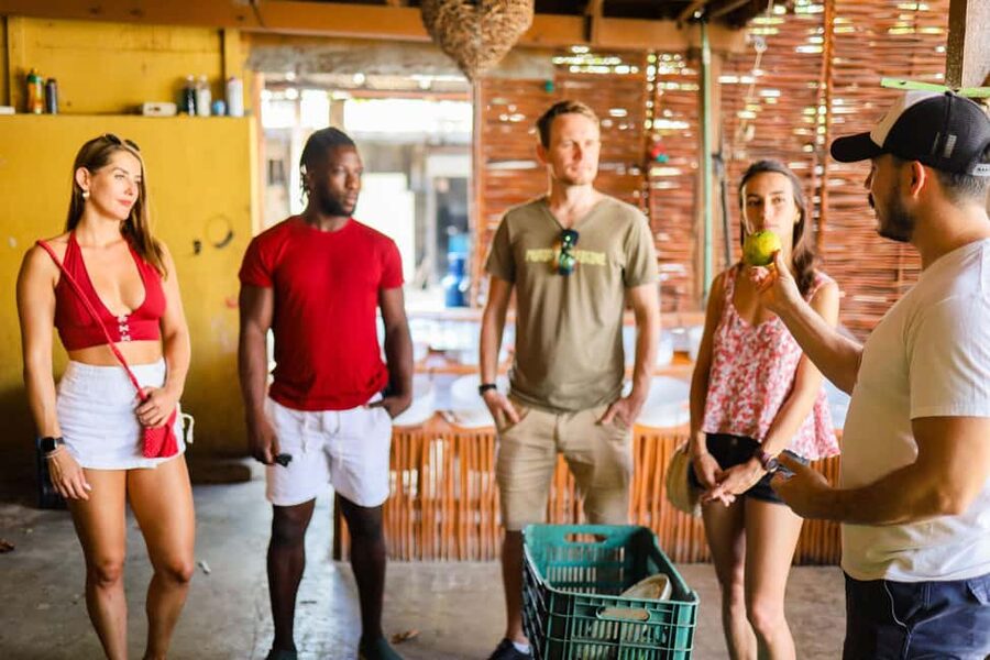 Playa del Carmen: 3-Hour Local Food Walking Tour - Street art and Playa del Carmen’s changing identity