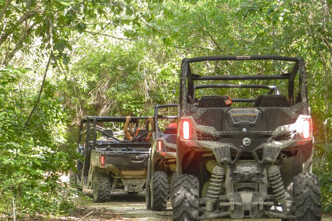 Playa del Carmen Buggy Tour with Cenote Swim and Mayan Village Visit - What the buggy ride is really like