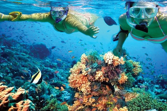 Plus Experience Isla Mujeres Tour - What the 90-person limit means onboard