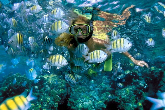 Plus Full Day Catamaran Tour to Isla Mujeres All Inclusive - What happens at Punta Sur and Isla Mujeres