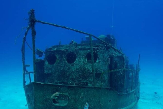 Power Snorkel by Sea Scooter & Flavored Tequila tasting - Finding fish, rays, and wreck remains