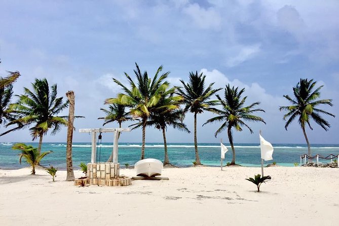 Private beach, all inclusive. - The water, reef, and sargassum question