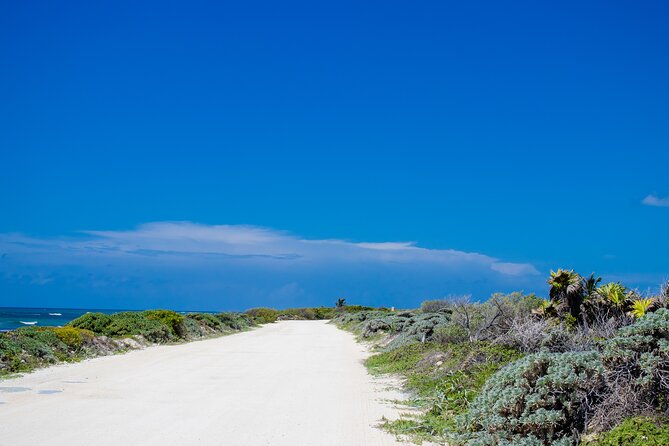 Private Buggy Tour and Punta Sur Park: All-Inclusive - What the $89.99 price really covers