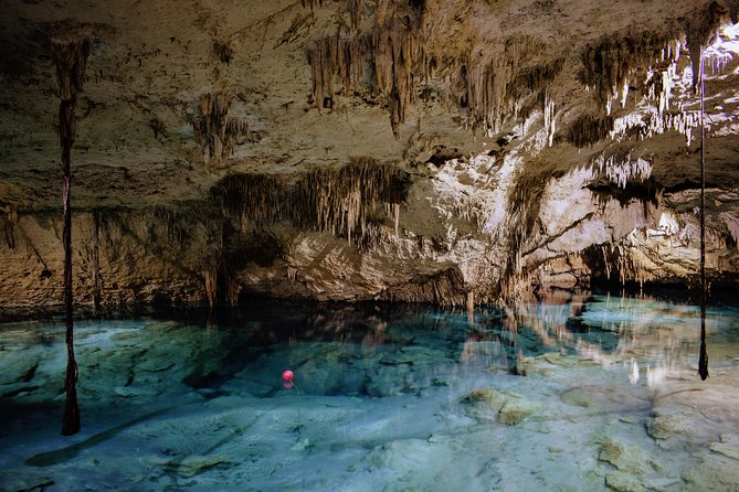 Private Cenote & Snorkeling Tour with Turtles in Akumal - Lunch and the value of the $180 price