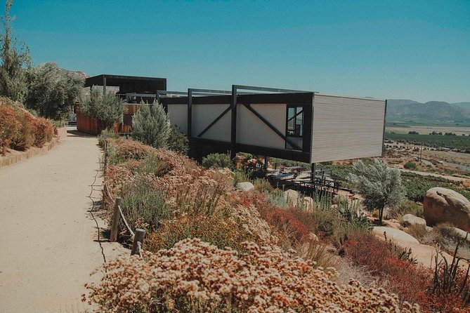 Private Curated Wine Tour in Valle de Guadalupe - A private wine day instead of a fixed bus route