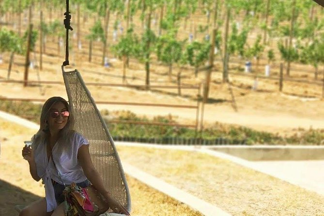 Private Curated Wine Tour in Valle de Guadalupe - Cavas Sol y Barro and the appeal of small producers