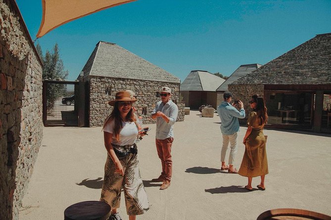 Private Curated Wine Tour in Valle de Guadalupe - Bodegas Magoni under an oak tree