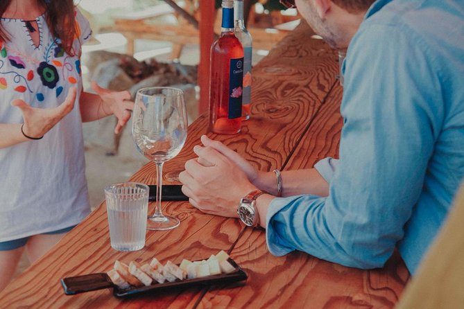 Private Curated Wine Tour in Valle de Guadalupe - Vinisterra Vitivinicola: a quiet first stop
