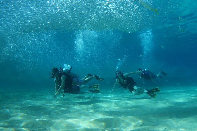 Private Dive Boat for Certified Divers - Cabo San Lucas - Choosing two sites in the Cabo marine reserve