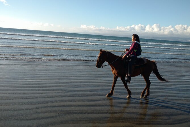 Private excursion to the bufadora and horseback riding on the beach - Price, timing, and what the $75 covers