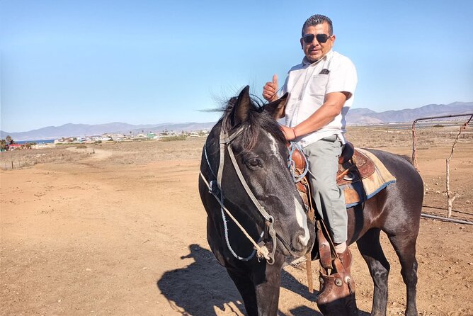 Private excursion to the bufadora and horseback riding on the beach - Who will enjoy this private Ensenada outing