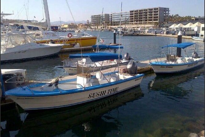 Private Half-Day Sport Fishing in Los Cabos - El Arco and the first run out
