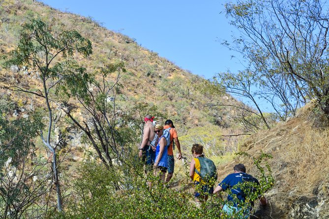 Private Hiking at the Fox Canyon from Cabo San Lucas - Pickup details for hotels and cruise ships
