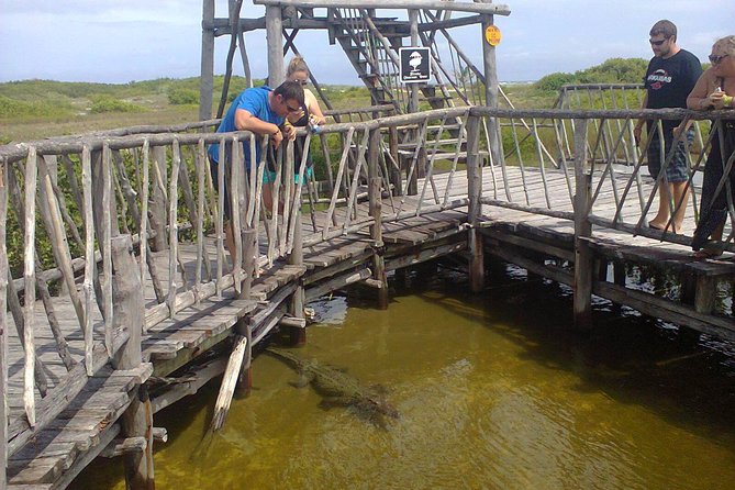 Private Jeep Excursion in Cozumel with Lunch and Snorkeling - El Mirador offers a quick east-coast photo stop