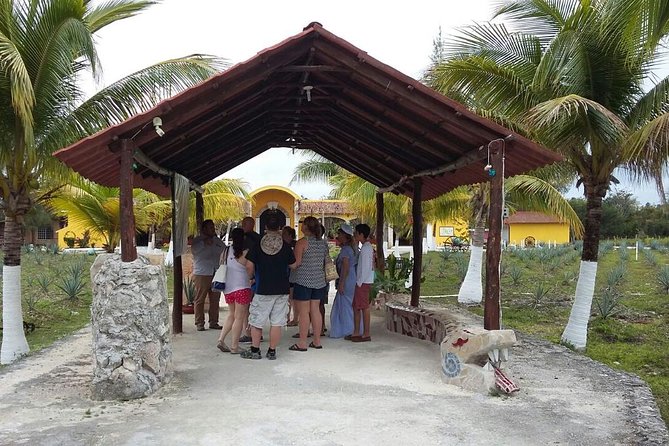 Private Jeep Excursion in Cozumel with Lunch and Snorkeling - Lunch is included, but drinks are not
