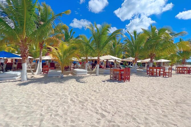 Private Jeep or Buggy Tour Snorkeling Maya Park and Tacos - Who should book this Cozumel tour?