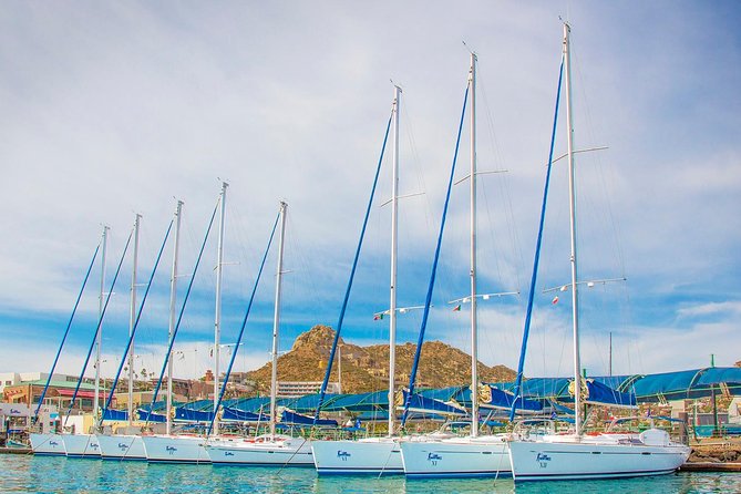 Private Luxury Sailing Cruise in Los Cabos with Lunch and Open Bar - Who will enjoy this Cabo sailing trip most