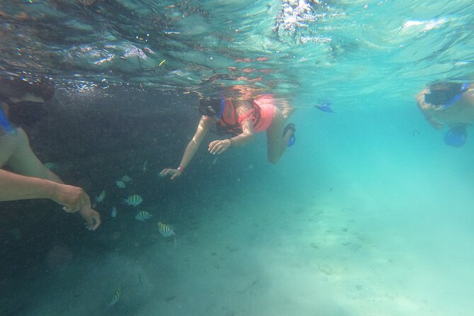 Private MUSA Snorkeling Experience at Isla Mujeres and Cancun - What the four-hour outing feels like