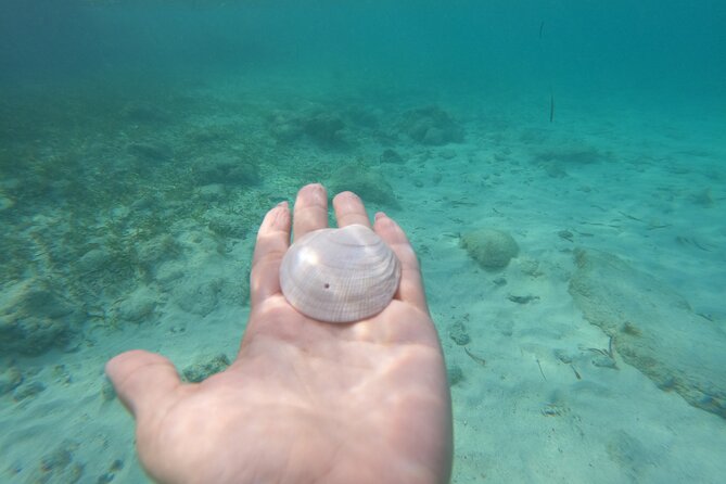 Private MUSA Snorkeling Experience at Isla Mujeres and Cancun - Looking beneath the surface at MUSA