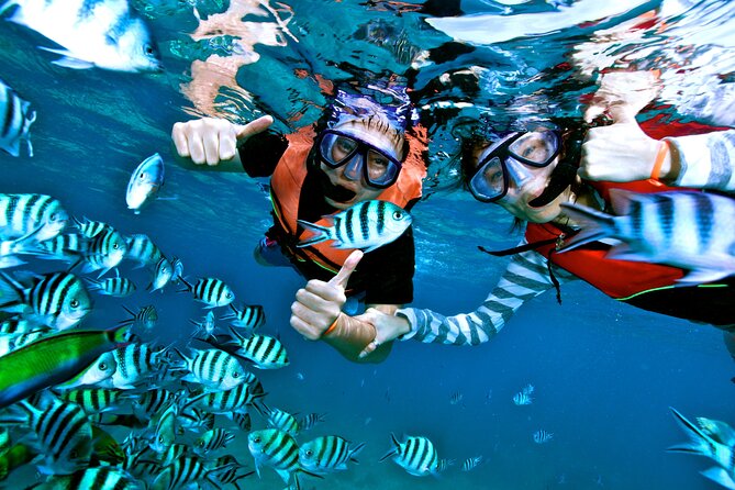 Private MUSA Snorkeling Experience at Isla Mujeres and Cancun - Is $550 a fair price?