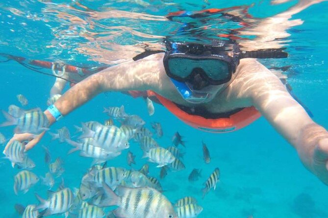 Private MUSA Snorkeling Experience at Isla Mujeres and Cancun - Starting at Señor Frog’s or leaving from Cancun