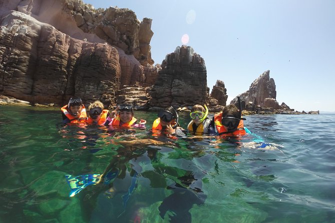 Private Snorkeling Tour in Cabo San Lucas - Why the Guides Matter for Families