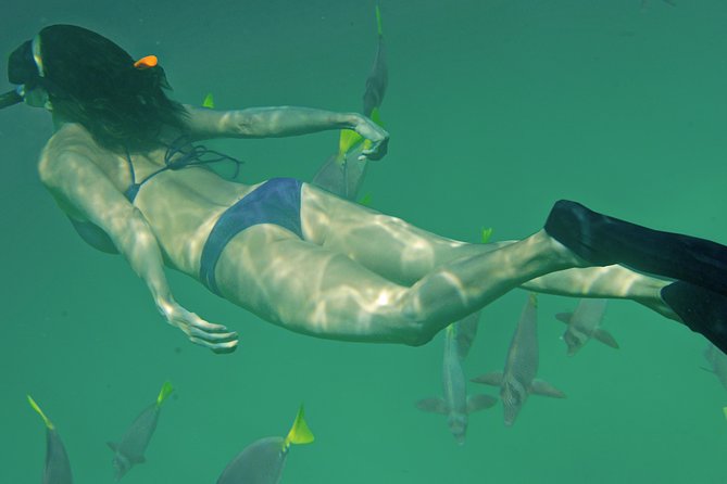Private Snorkeling Tour in Cabo San Lucas - What to Bring and How to Plan the Day